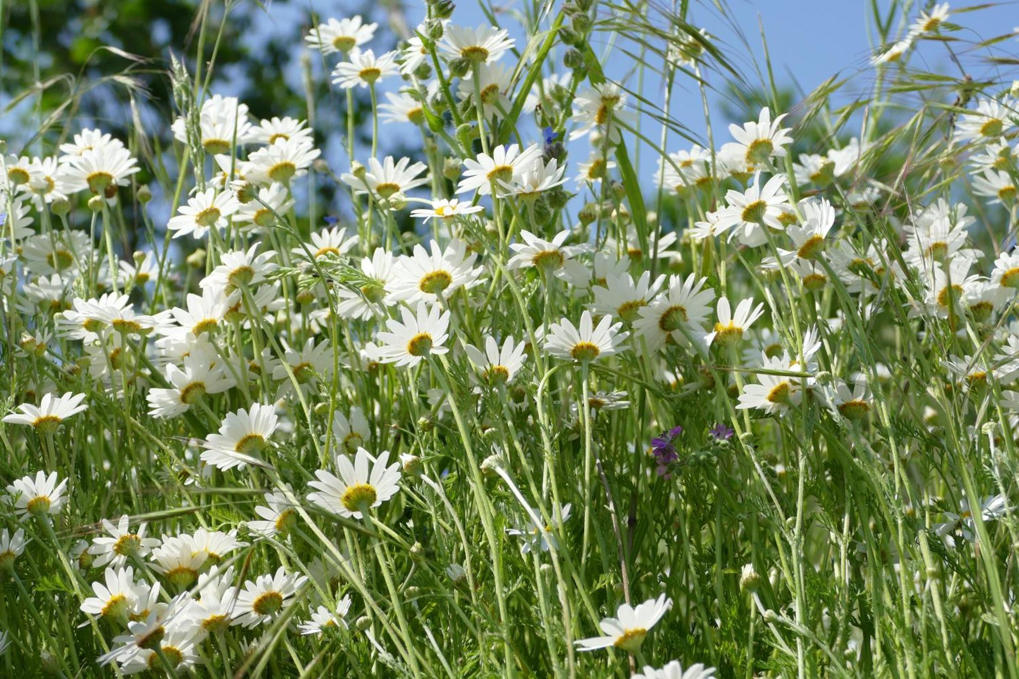 Naturgarten Karlsfeld In Der Schoenen Lausitz Welzow Экстерьер фото